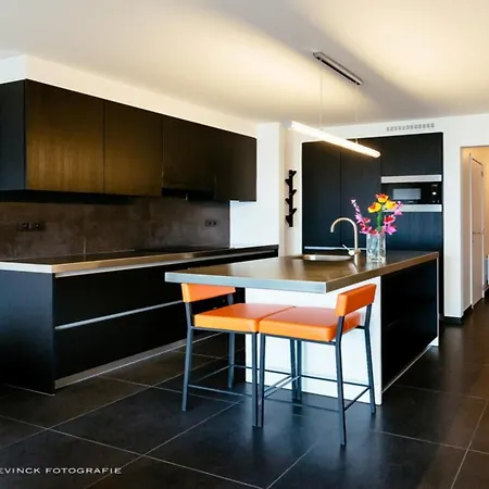 De Meeuwen Vijfde Appartement *